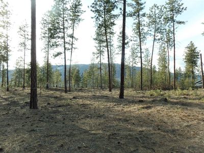 LOT 3 Fumi Cir, Kettle Falls, WA, 99141
