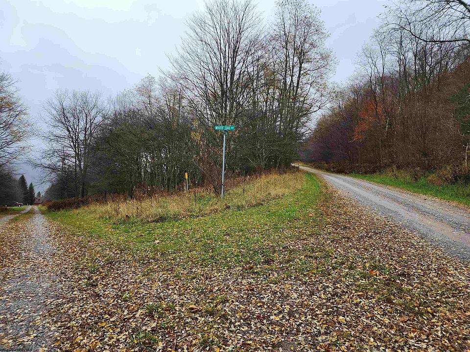 15 Whitetail Way, Dryfork, WV 26263 Zillow