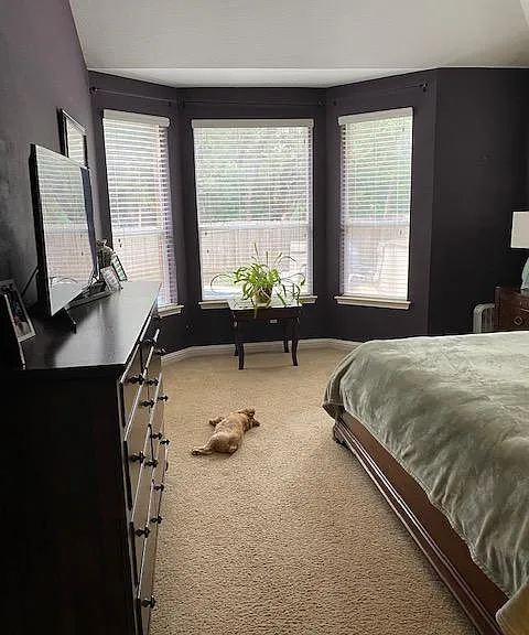 3749 Gentle Winds Ln — Photo 11