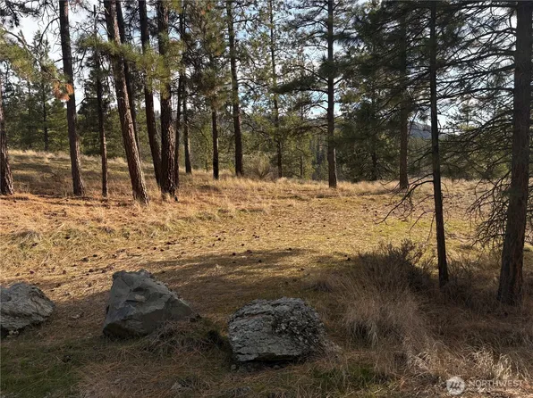 2 Mist Lake Road, Tonasket, WA 98855