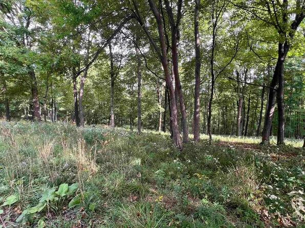 65698 Desoto Ridge Dr, De Soto, WI 54624