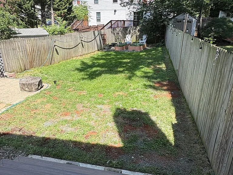 Backyard patio and garden