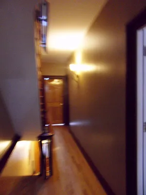 Rented by Sunrise Real Estate | media 69