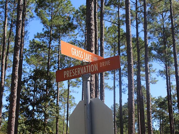 2nd image of 8628 Preservation Dr
