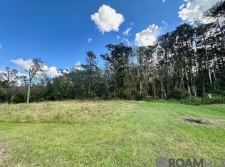 19348 Plantation Trace Dr, Livingston, LA 70754
