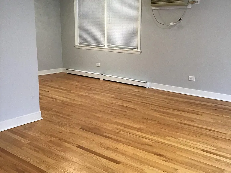Spacious Living room/dining room Combo
