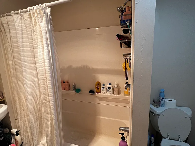 273 Pearl St #3 — Photo 11