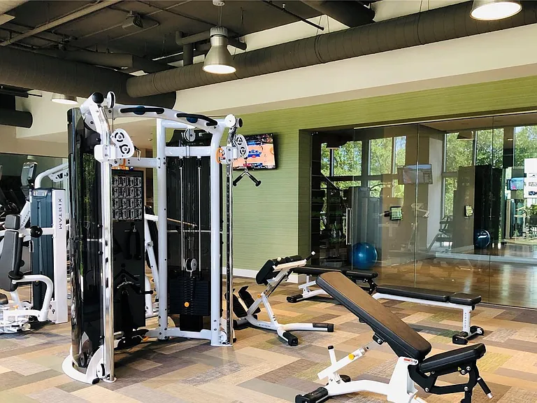 GYM
