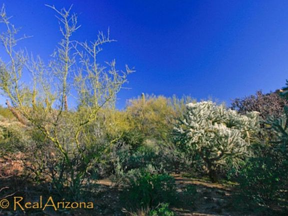 3rd image of 13902 N Dove Canyon Pass