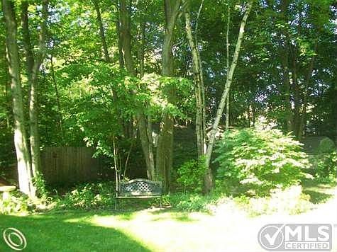 Backyard1.jpg