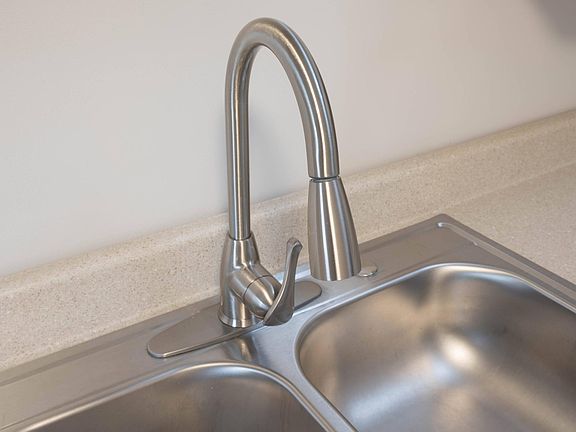 Stainless steel faucet with sprayer