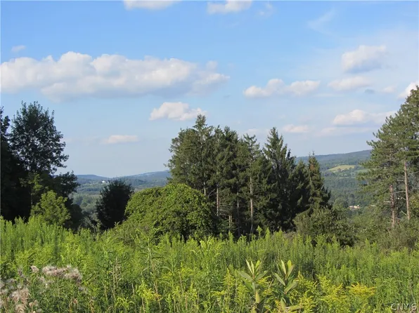 0 Sycamore Pl #20, Earlville, NY 13332