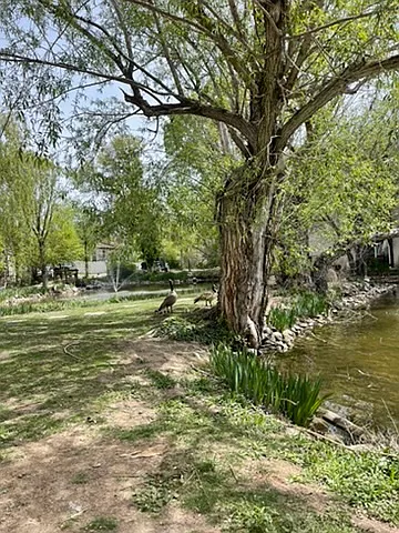 5553 S Willow Ln #A — Photo 12