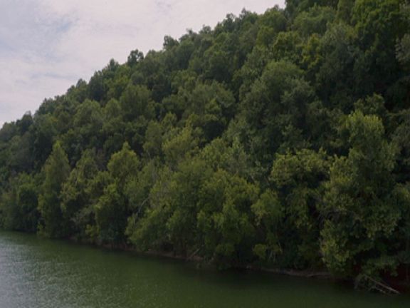 3rd image of Long Beard Ln