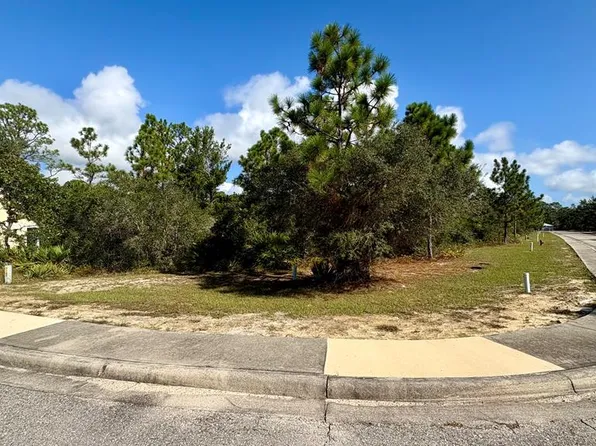 137 Anhinga Ct, Carrabelle, FL 32322