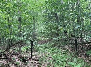 0 North Rd #5, Salisbury Center, NY 13454