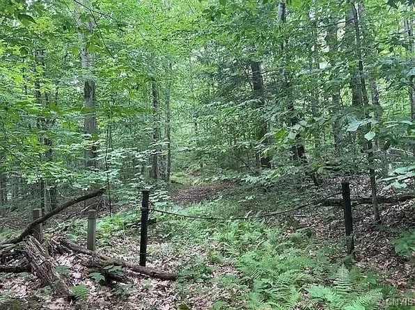 0 North Rd #5, Salisbury Center, NY 13454