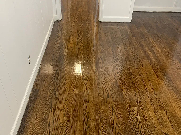 1334 Lolita Ln — Photo 16