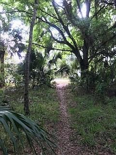 1st image of  SW Alligator Street
