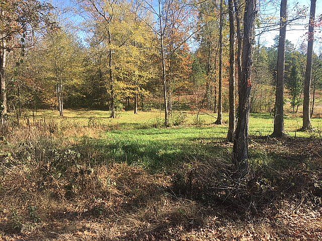 Beautiful 2/3 Acre Lot!