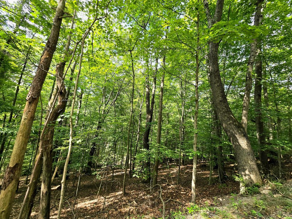 Real estate listing image