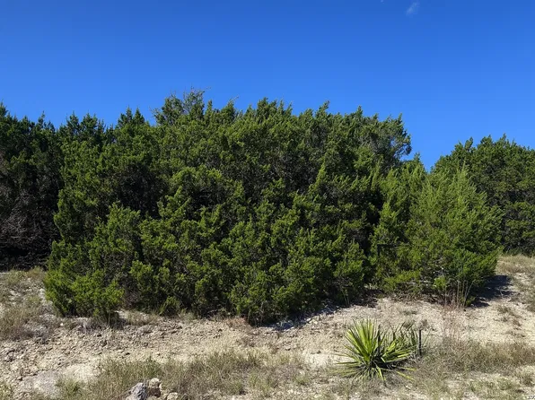 119 N Stallion Estates Dr. LOT 28, Spring Branch, TX 78070