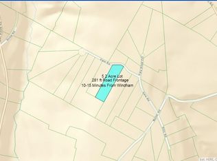 0 Vare Rd, Prattsville, NY 12468