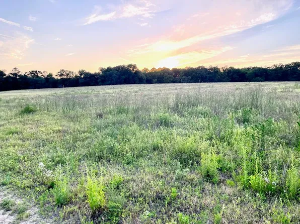 3161 Cedar Springs Rd Lot 5, Ashford, AL 36312