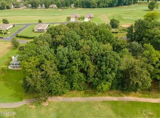 447 Kahite Trl, Vonore, TN 37885