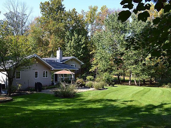 Back - Alternate view