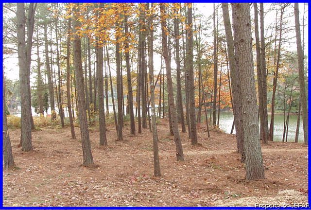 2nd image of 0 Levering Ln