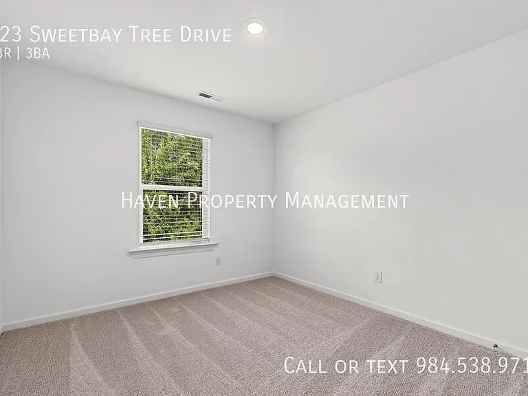 323 Sweetbay Tree Dr — Photo 25