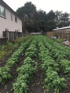 547 Myrtle St, Half Moon Bay, CA, 94019