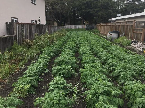 547 Myrtle St, Half Moon Bay, CA 94019