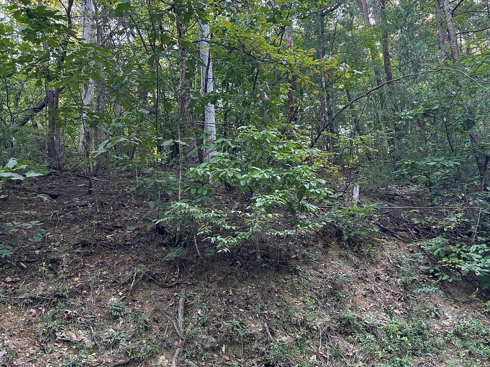 2nd image of Progress Hill Blvd