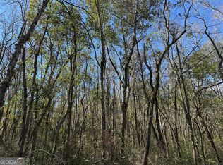 95 Mount Sinai Church Rd, Butler, GA 31006