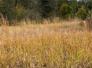 716 Live Oak Loop #10, Crescent City, FL 32112