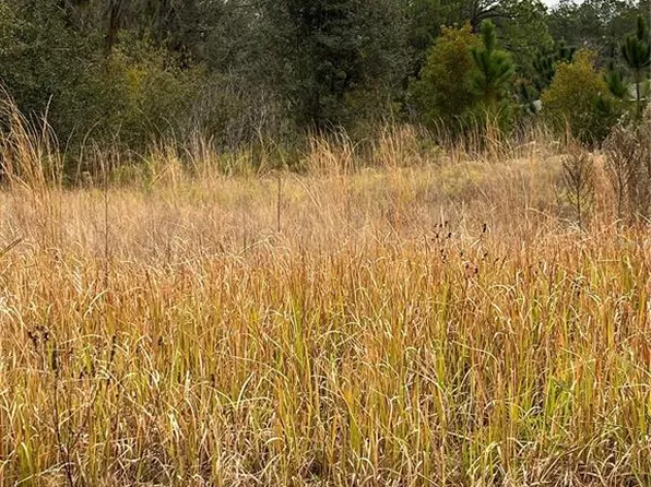 716 Live Oak Loop #10, Crescent City, FL 32112