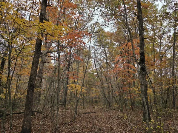 7 Divide Trl, Monterey, TN 38574