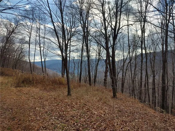 Erika Drive, Shandaken, NY 12480