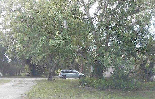 2nd image of 4920 Coconut Ave