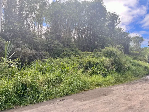 Oahu St Lot 11, Mountain View, HI 96771