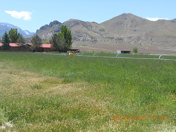 View up driveway