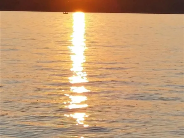 447 Lake Ridge Rd Lot 20, Scottsville, KY 42164