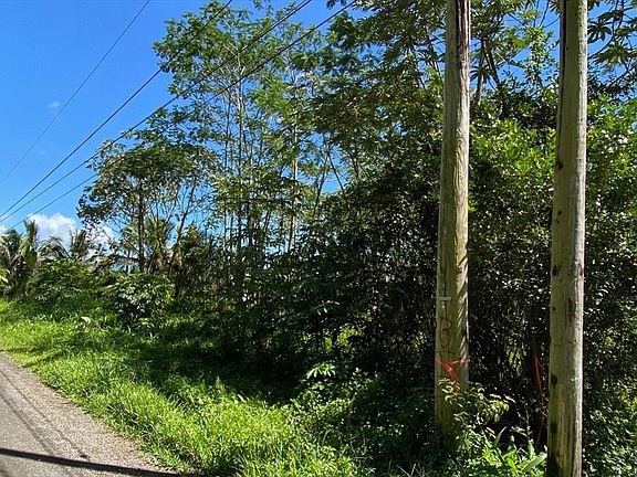 2nd image of 15th Ave Lot 391