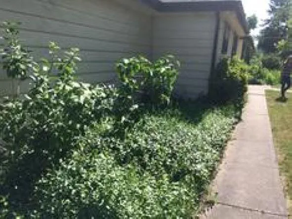 722 W Mulberry St — Photo 4