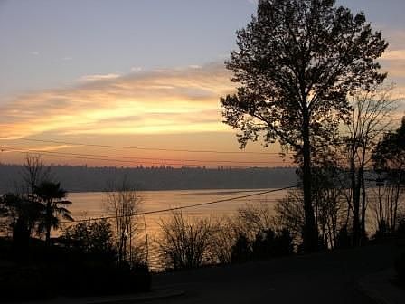 View West from deck to Lk. Washington