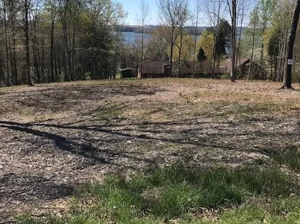 13 Piney View Dr, Spring City, TN 37381