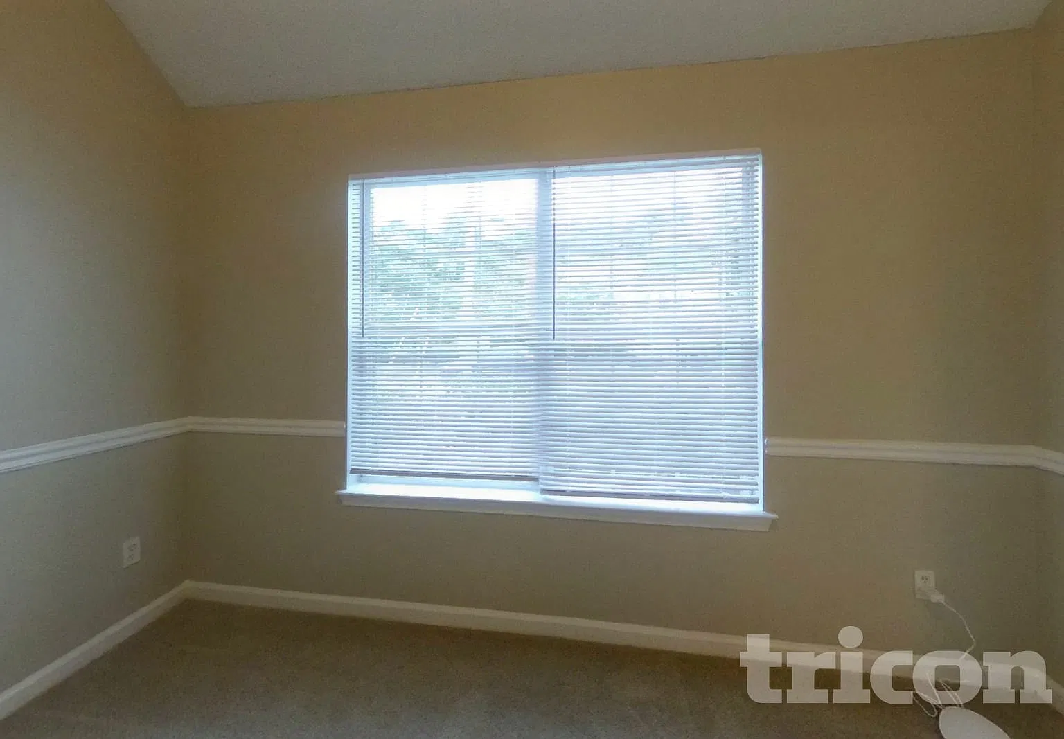 1620 Cutters Mill Drive Lithonia GA — Photo 4