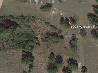 1005 Wiggins Rd, Saint Cloud, FL 34771